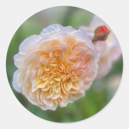 Adesivo Linda Linda Rosa