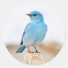 Adesivo Linda Montanha Bluebird na Praia