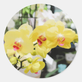 Adesivo Linda pintura de Flor Orquídea Tropical Amarela
