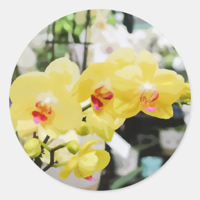 Adesivo Linda pintura de Flor Orquídea Tropical Amarela (Frente)