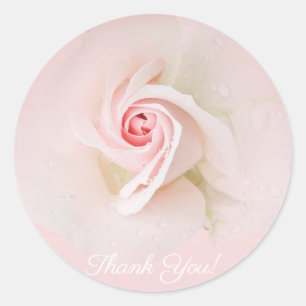 Adesivo Linda Rosa Rosa Cor-de-Rosa Suave Chuveiro de Noiv
