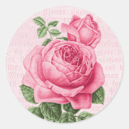Adesivo Linda rosa-rosa-rosa