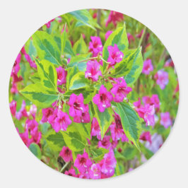 Adesivo Linda Weigela Verde com Flores Crimson