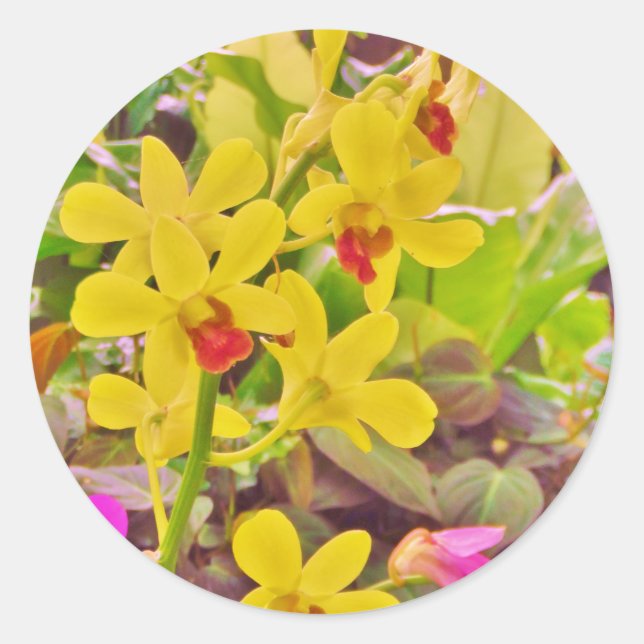 Adesivo Lindas orquídeas de outono amarelas (Frente)