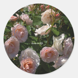Adesivo Lindíssimas Rosas Rosa Claro