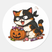 Lindo Gato Malhado Ladrão de Doces