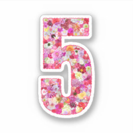 Adesivo Lindo Número 5 Floral Botânico Decorativo Rosa