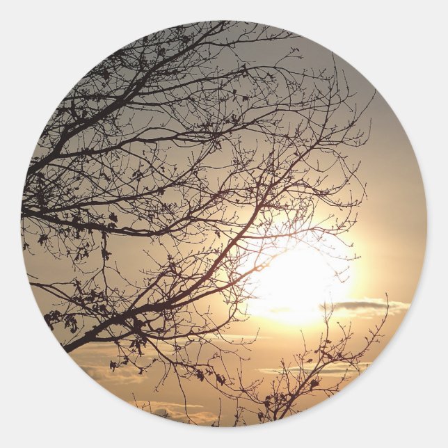 Adesivo Lindo pôr do sol com galhos (Frente)