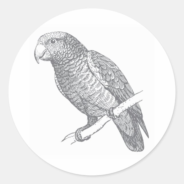 Adesivo Line Art of Parrot (Gray) Fine Art (Frente)