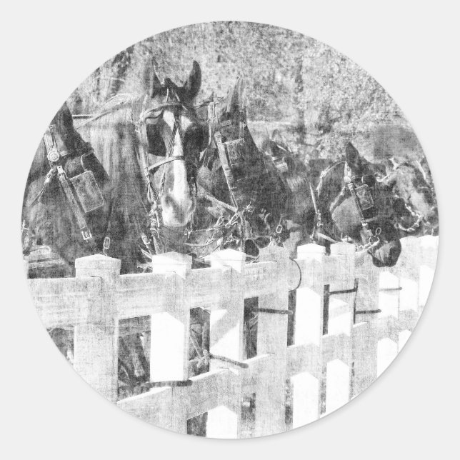Adesivo Linha Amish Horses Black and White (Frente)