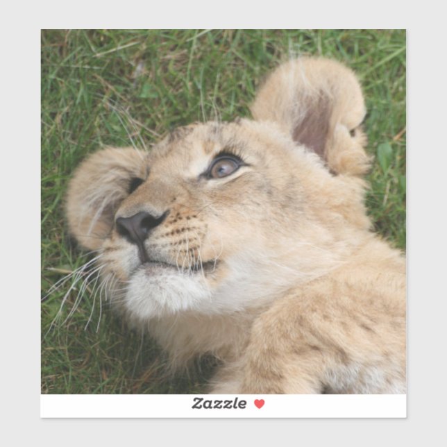 Adesivo Lion 022 (Folha)