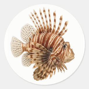 Adesivo Lionfish