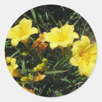 Líquido Amarelo