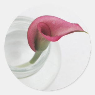 Adesivo Lírio de Calla