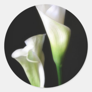 Adesivo Lírio de Calla 2