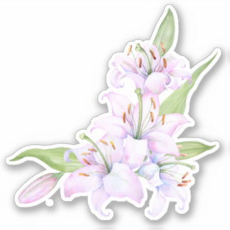 Adesivo lírios