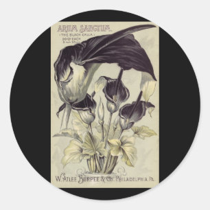Adesivo Lírios de Calla preto do vintage