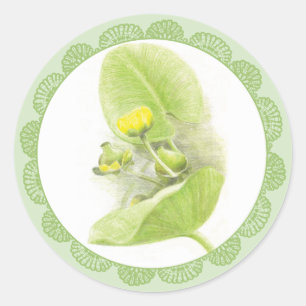 Adesivo Lírios de flores