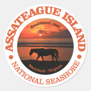 Adesivo Litoral do nacional da ilha de Assateague