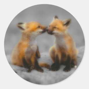Adesivo Little Fox Love