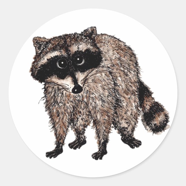 Adesivo Little Raccoon (Frente)