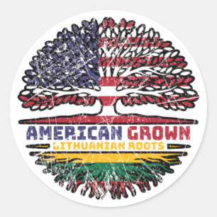 Adesivo Lituânia lituana EUA EUA EUA Estados Unidos