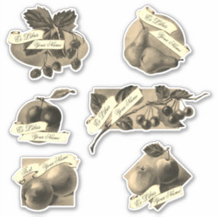 Adesivo Livro de Receitas Feitas da Fruta Vintage Personal