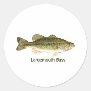 Adesivo Logotipo Bass Largemouth (com título)