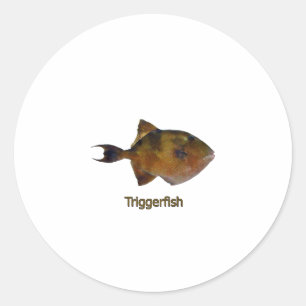 Adesivo Logotipo cinzento do Triggerfish