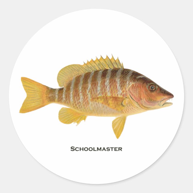 Adesivo Logotipo de Peixe do Colégio (Frente)