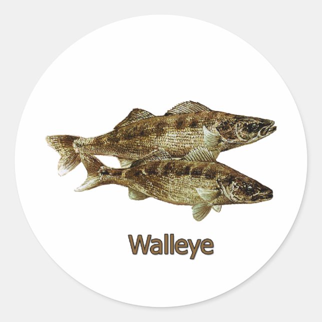 Adesivo Logotipo de pesca Walleye (Frente)