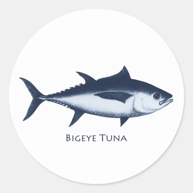 Adesivo Logotipo do atum Bigeye (Frente)