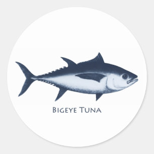 Adesivo Logotipo do atum de Bigeye