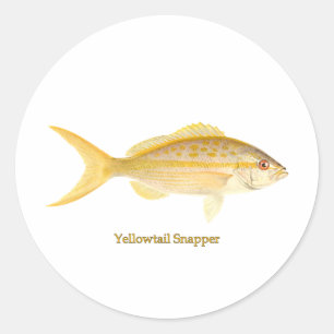 Adesivo Logotipo do Snapper Yellowtail