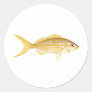 Adesivo Logotipo do Snapper Yellowtail