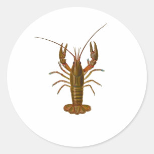 Adesivo Logotipo dos lagostins