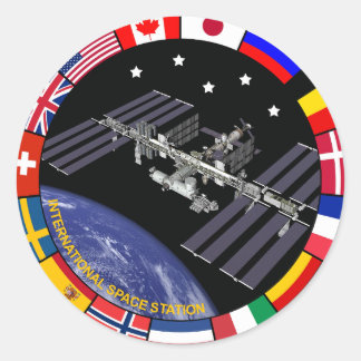 Adesivo Logotipo emblema ISS
