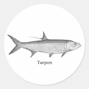 Adesivo Logotipo Tarpon (line art)