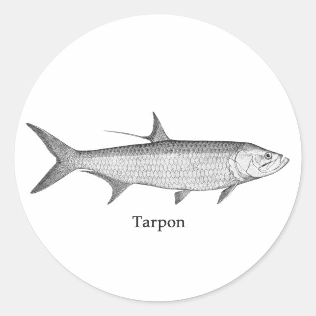 Adesivo Logotipo Tarpon (line art) (Frente)