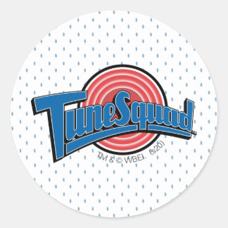 Adesivo Logotipo Uniforme TUNE SQUAD™