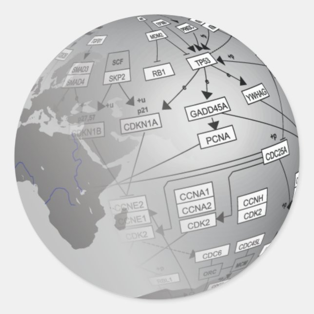 Adesivo Logotipo WikiPathways (Frente)