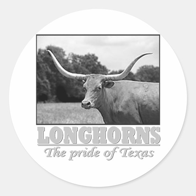 Adesivo longhorn_orgulho (Frente)