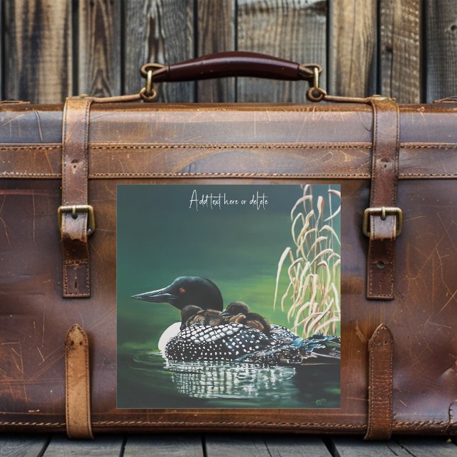 Adesivo Loon Family Outing (Criador carregado)