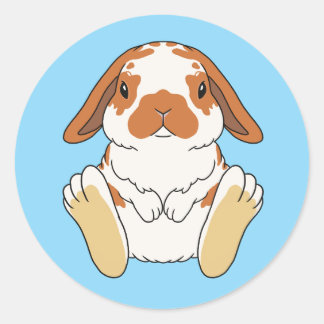 Adesivo Lop Bunny Sticker Broken Orange