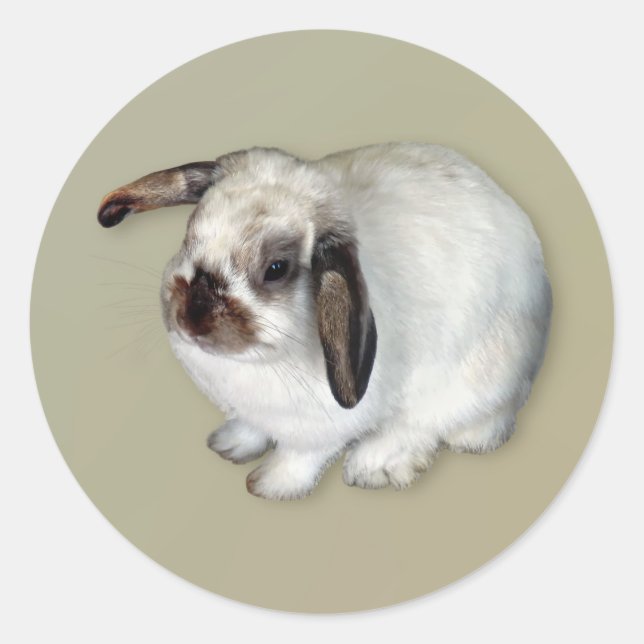 Adesivo Lop-Eared Bunny (Frente)