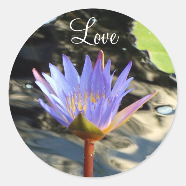 Adesivo Lótus do Amor (Frente)