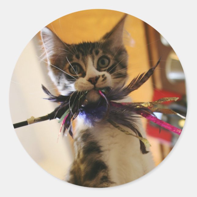 Adesivo Louco pela pena (Frente)