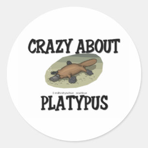 Adesivo Louco Sobre Platypus