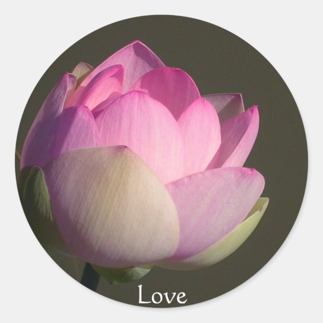Adesivo Love Lotus (Frente)