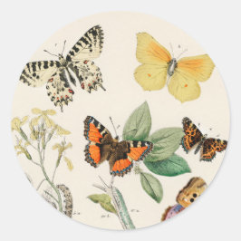 Adesivo Lovely vintage illustration of butterflies